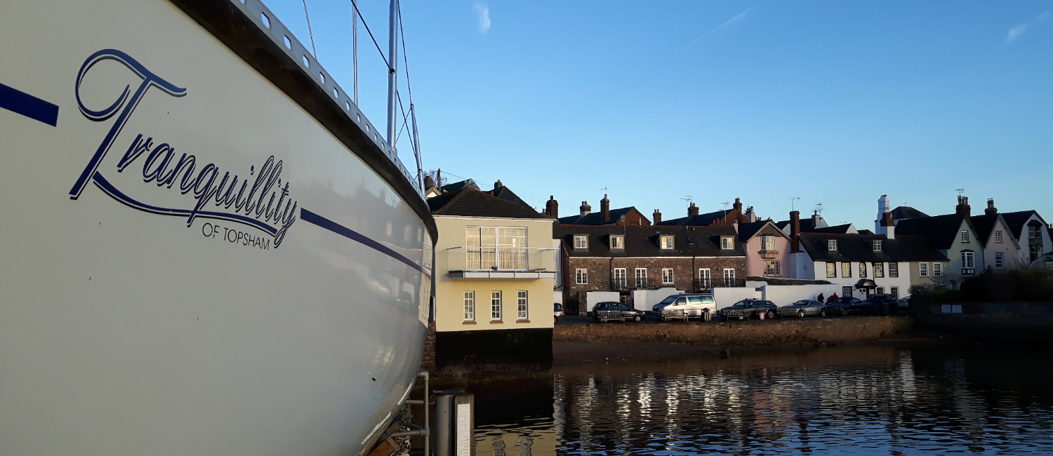 Properties on the edge of the estuary in Topsham